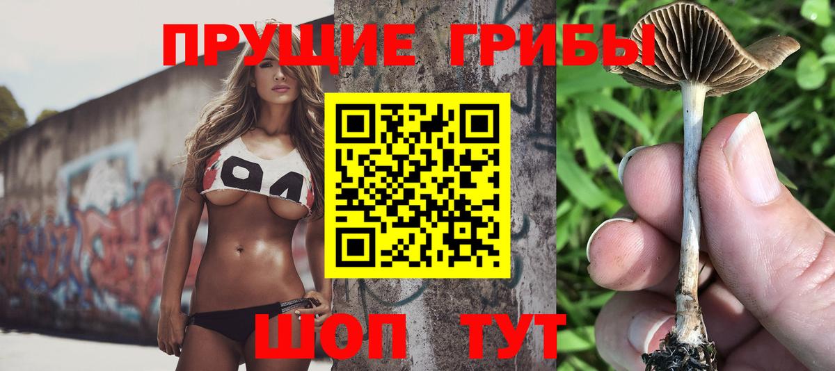 Стрежевой  Псилоцибиновые грибы GOLDEN TEACHER  Вход с VPN 