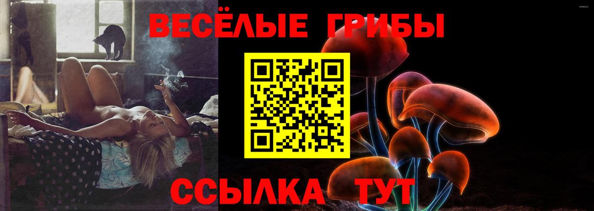 Псилоцибиновые грибы мухоморы Стрежевой